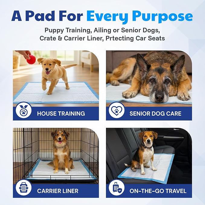 American Kennel Club Scented Puppy Training Pads with Ultra Absorbent Quick Dry Gel – 22 x 22 Pee Pads for Dogs - Fresh Scented - Pack of 100