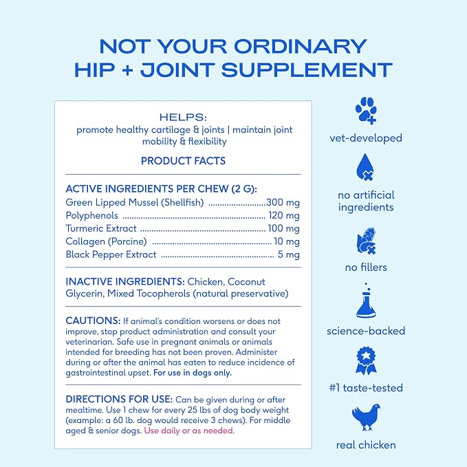 Native Pet Inflammatory Care - Pain Relief for Dogs - Green-Lipped Mussel, Turmeric & Collagen for Dogs - Hip and Joint Supplement Supports Healthy Inflammatory Response & Joint Comfort - 60 Chews