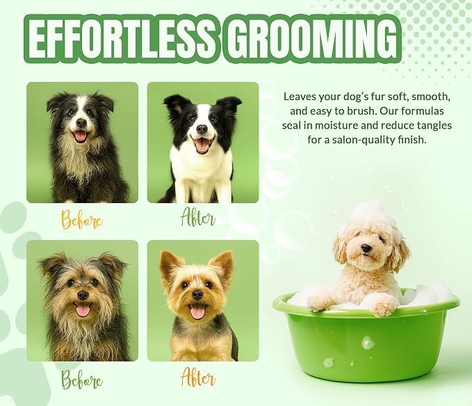 ALFIE'S CHOICE Dog Shampoo for Smelly Dogs | Fresh & Clean Shampoo and Conditioner Set | 16 fl oz Each | Lavender & Rosemary Deodorizing Wash | Odor Control for All Breeds