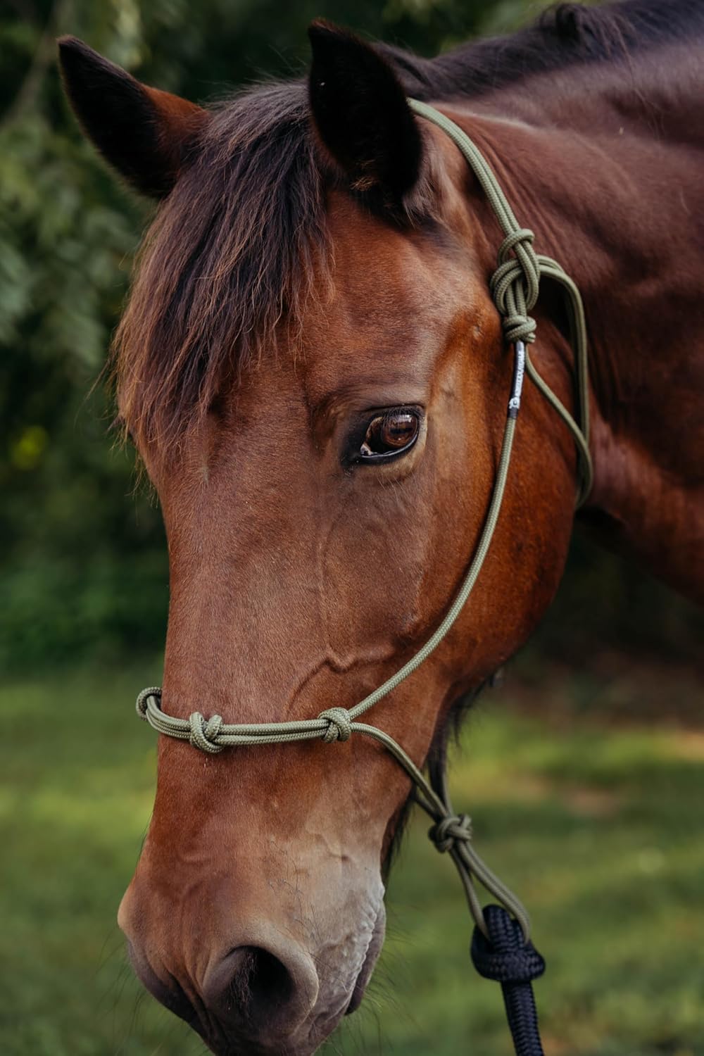 Double Braid Polyester Yacht Horse Lead Rope with Loop 12ft. or 14ft. Lengths (Beige, 14 ft. No Snap)