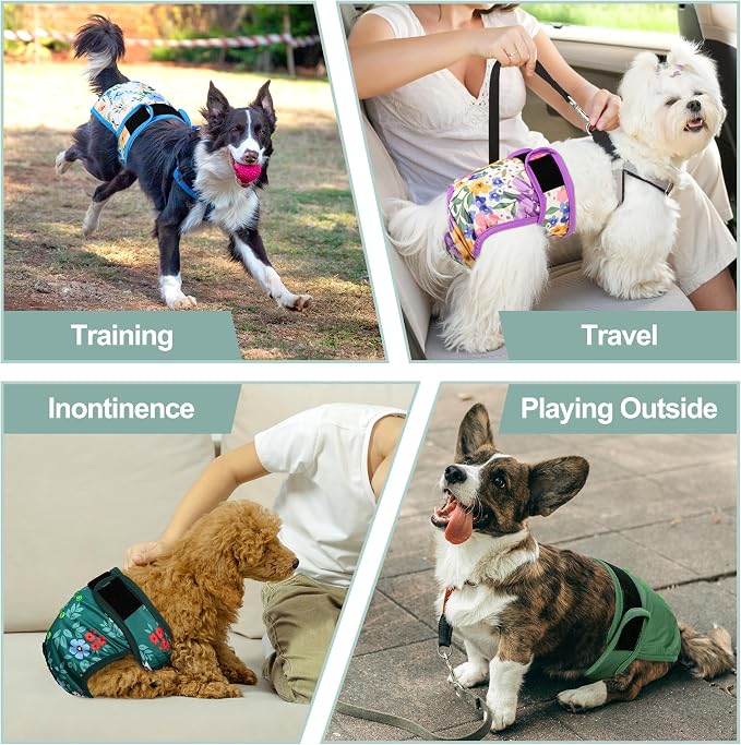 Female Dog Diapers 5Pcs - Premium Reusable Diapers for Doggie in Heat - Highly Absorbent Dog Diapers Female for Pet Incontinence with Adjustable Snaps, Green, XL