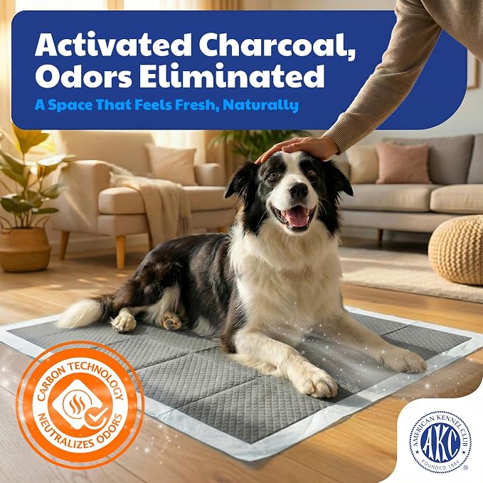 American Kennel Club Carbon-Activated Puppy Training Pads – 50 Count, 28 x 30, XL