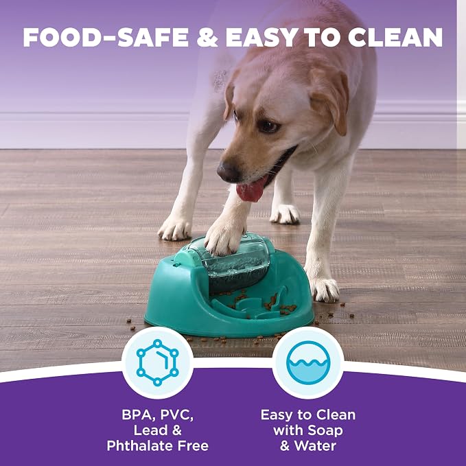 Outward Hound by Nina Ottosson Spin N' Eat Dog Puzzle and Slow Feeder, Level 2 Intermediate Enrichment Toy, Green
