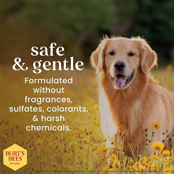 Burt's Bees for Pets Tear Stain Remover for Dogs with Chamomile, 99.9% Natural Origin Formula, Gently Cleanses Eye Area and Removes Debris, Safe for Dogs and Puppies, Cruelty-Free, 4 Fl Oz