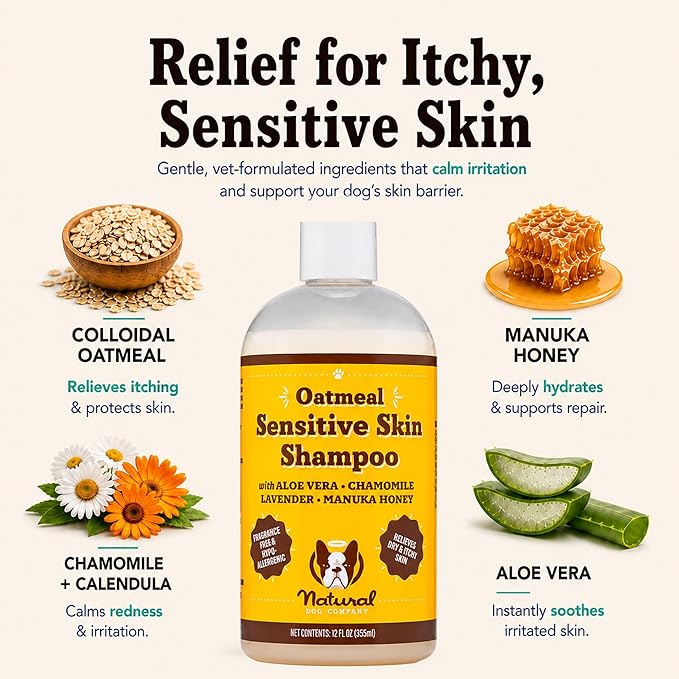 Natural Dog Company Sensitive Skin Dog Shampoo – Hypoallergenic Oatmeal Anti Itch Shampoo for Dogs, Gentle Puppy & Dog Wash with Aloe Vera, Manuka Honey & Chamomile, Odor Control, 12 oz