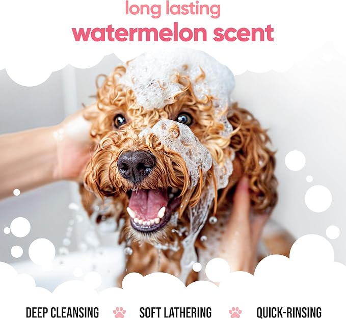 Watermelon Dog Shampoo by Buddycare | with Aloe Vera and Pro Vitamin B5 (50.72oz)