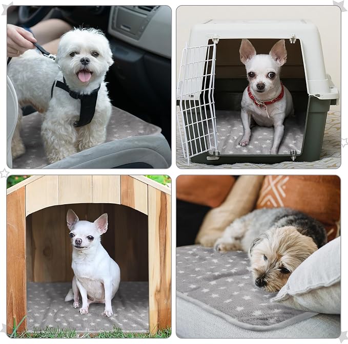 Tranqun 4 Pcs Puppy Pee Pads Waterproof Reusable Training Washable Pee Pads for Dog Cat Throw Blanket Pet Crate Mats Blanket Stars Pattern Animals Cage Liner(Gray,20 x 30 Inch)
