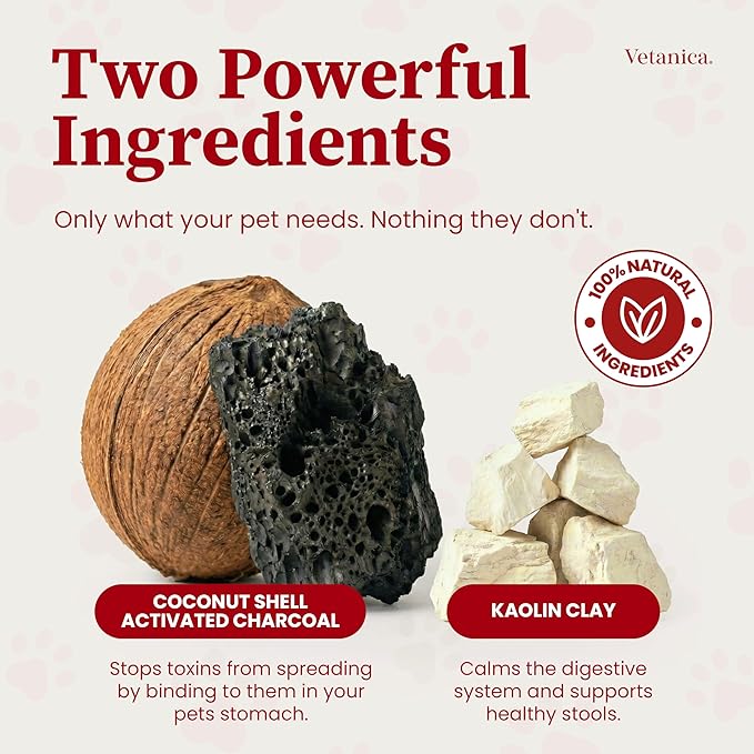 PawMergency – Activated Charcoal First Aid Kit Emergency Rescue 2 Pack for Dogs, Cats, Puppy & Pet Poison Kit, Camping Survival Remedy Essential, Oral Anti Diarrhea Digestive Absorb Toxins