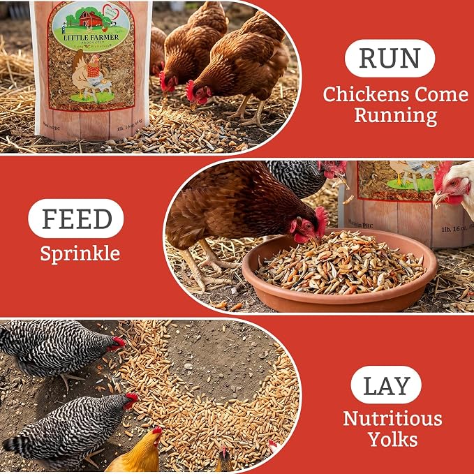 Fish & Shrimp Chicken Treats with Dried Shrimp and Freeze Dried Minnows, High Protein Chicken Snacks with Omega 3 and Calcium for Chickens and Ducks - 1 lb