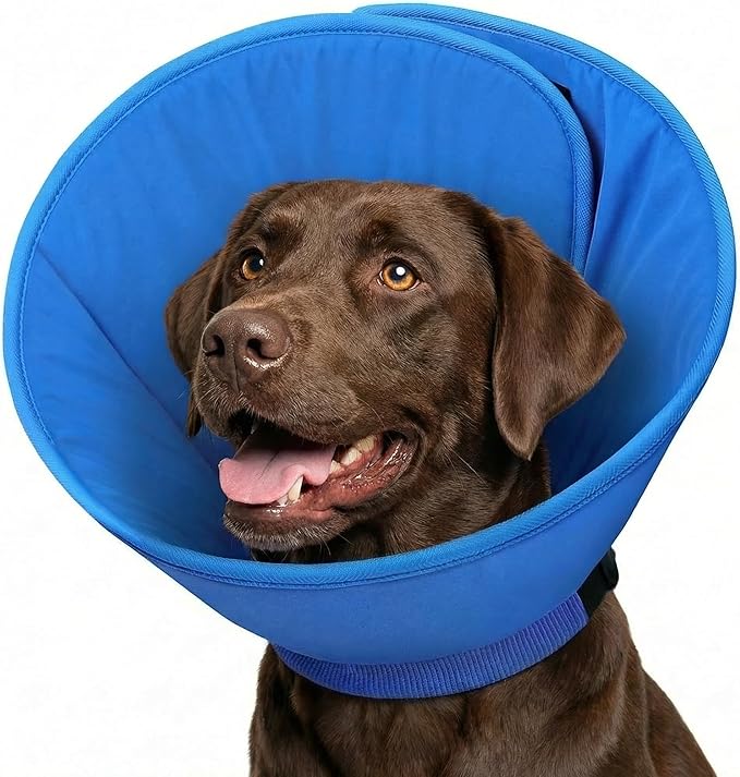 Dog Cone, Soft Cone for Dogs to Stop Licking with Adjustable Buckle, Dog E-Collar Alternative After Surgery for Medium Large Dogs, Pet Cones Collar for Wound Healing, Blue L