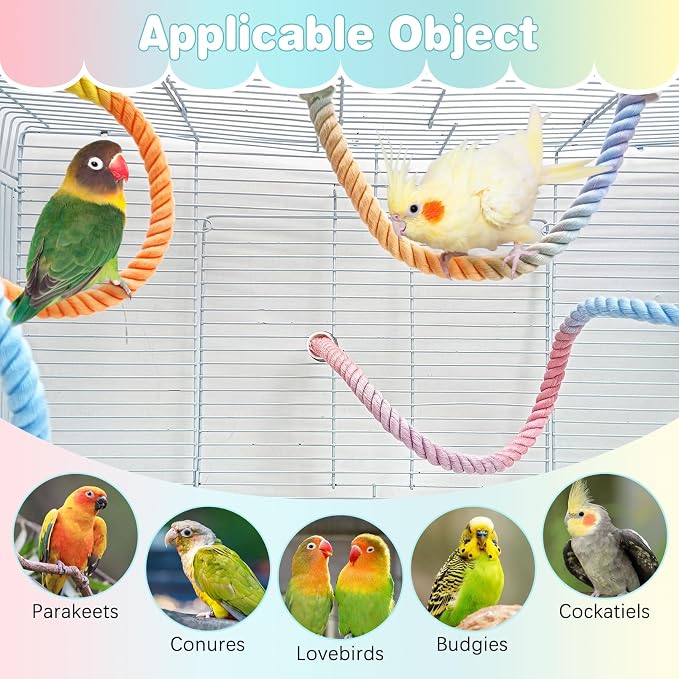 BNOSDM Large Foraging Toys Box and 3Pcs Gradient Bird Rope Perches Toy for Parakeet, Conure, Cockatiel