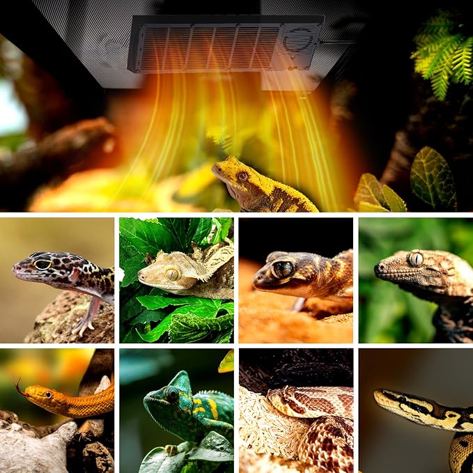 Reptile Heat Panel Adjustable Temperature 60W Reptile Heater for Terrariums, Energy Efficient & Non-Light Reptiles Heating Plate for Snakes,Crested Gecko,Leopard,Turtles