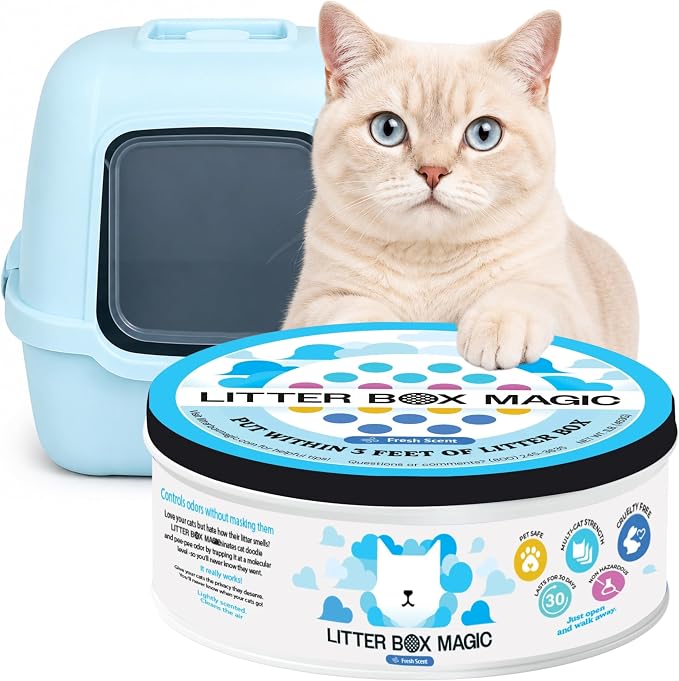 Litter Box Magic Cat Litter Deodorizer (Fresh Scent, 16 Oz, Pack of 1) – Premium Cat Litter Odor Eliminator Gel Jar | Cat Odor & Stain Removers, Urine Odor Eliminator & Pooping Deodorizer, Non Toxic
