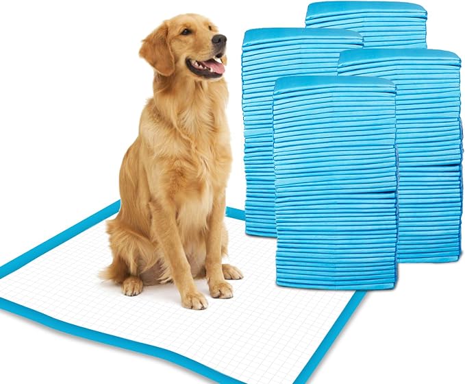 Petfamily Super-Absorbent 24 by 24 Inches Dog Training Pads - 100 Count of Pads