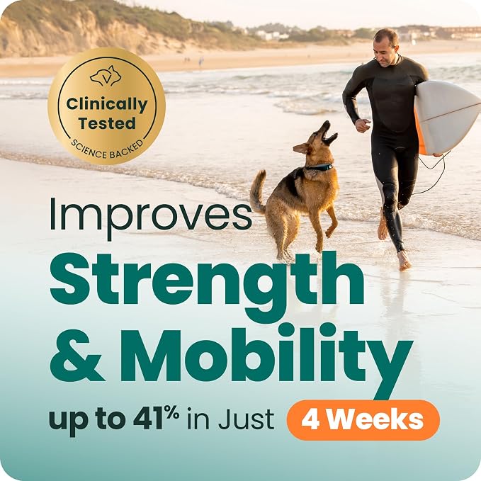 VetriScience Ultimate Strength Hip & Joint Supplement for Dogs – Supports Joint Health & Mobility, Vet-formulated w/Glucosamine, Chondroitin, MSM & Green-Lipped Mussel –Duck Flavor, 120 Chews