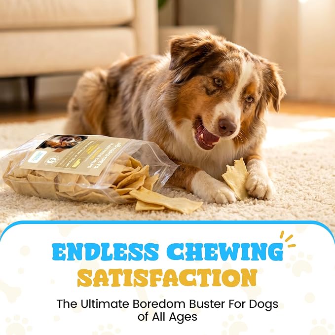 hotspot pets Rawhide Chips Dog Chews - Single Ingredient Premium Bulk Rawhide Chips for Dogs - Helps Support Teeth & Dental Chews for Dogs - 5 Pound