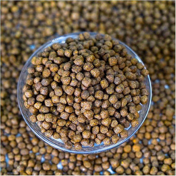 Natural Waterscapes Game Fish Food Variety | Pond and Lake Fish Food Pellets | 22 lb Bag | Feed to Bass, Bluegill, Trout, Catfish, tilapia | Floating Pellets