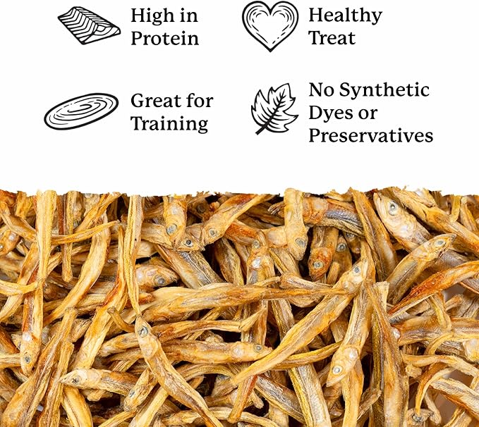 Dr. Harvey's Minnow Minis Freeze-Dried Dog Treats – Fish Treats for Training & Rewards – High Protein, Rich in Omega-3s, Made in the USA - 4 Ounces