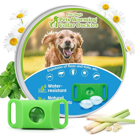 Dog Tag with 2refills (Green Pendant+2refills)