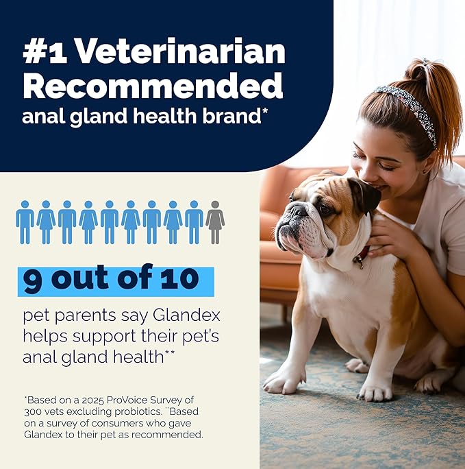 Vetnique Glandex Anal Gland Soft Chew Treats with Pumpkin for Dogs Digestive Enzymes, Probiotics Fiber Supplement for Dogs Boot The Scoot (Bacon Flavor Chews, 120 Count)