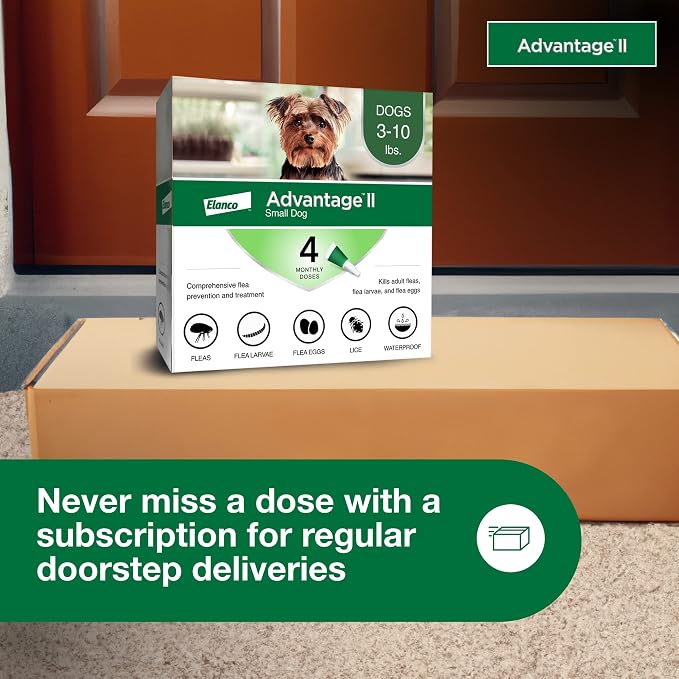 Advantage II Small Dog Vet-Recommended Flea Treatment & Prevention | Dogs 3-10 lbs. | 4-Month Supply