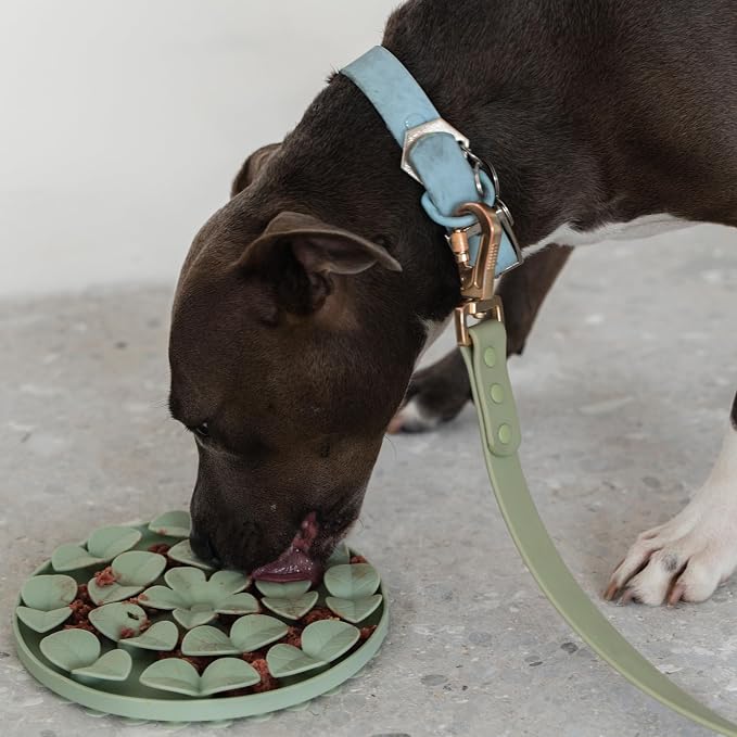 Dexypaws: Enrichment Snuffle Mat: Sage Green Circle - Textured Dog Feeding Pad, Food Grade Silicone, Spread Food & Treats, Pet Soothing, Suction Back