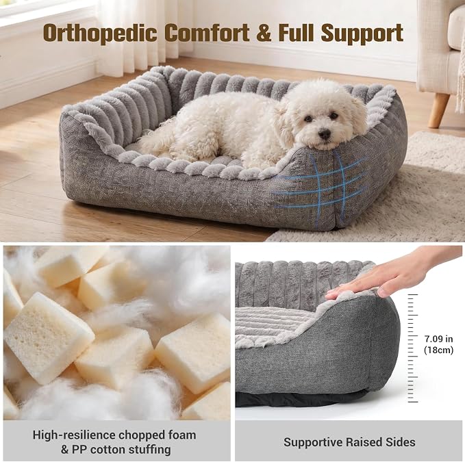 Avont Supportive Dog Bed for Small Dogs & Cats, Plush Foam Fill, Grey | Removable Machine Washable Cover, Low 5.12" Entry for Pups & Seniors, 7:3 Foam-PP, Non-slip Bottom, Hidden Chew-proof Zippers