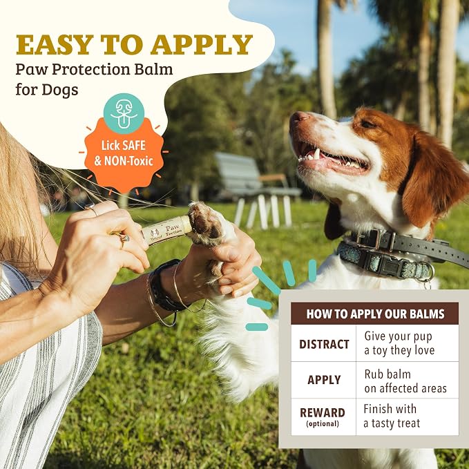 Natural Dog Company PawTection Dog Paw Wax – Dog Paw Protection for Hot Pavement, Sand, Asphalt & Trails, Waxy Barrier Balm for Summer Walks, Hiking Days, Non-Toxic, and Lick Safe, 0.15 oz Stick
