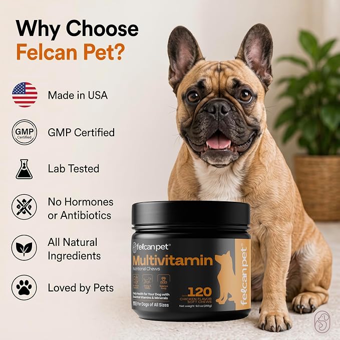Dog Multivitamin Chews – Daily Dog Vitamins with 19+ Nutrients, Probiotics, Glucosamine & Omega Fish Oils – Supports Energy, Immune Health & Pet Wellness – Chicken Flavor, 120 Soft Chews