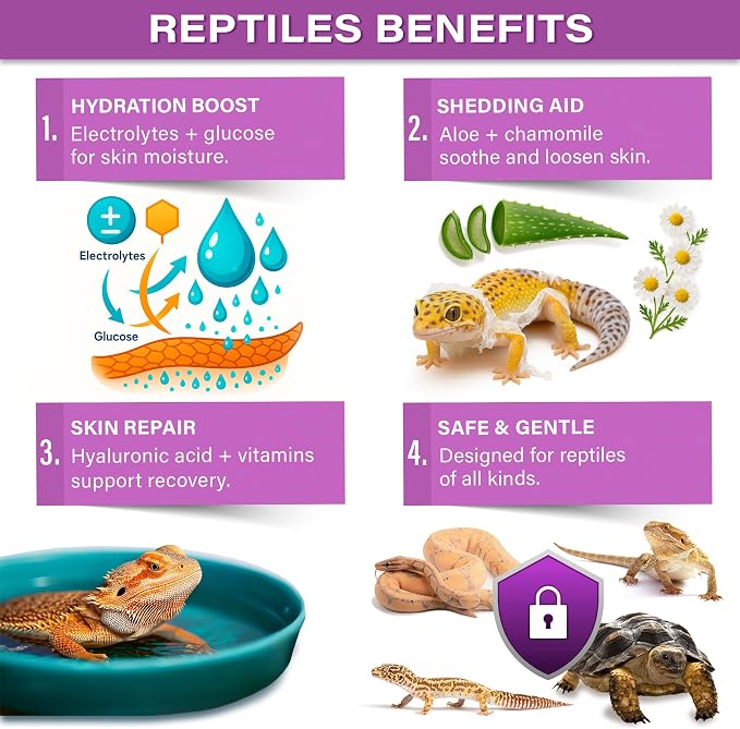 Gargeer 'ReptiShed' Shedding Aid Soak Powder for Reptiles | Stuck Shed Remover for Dragons, Geckos, Lizards, Snakes | Aloe, Chamomile, Hyaluronic Acid | Bath Supplement | Made in the USA. Enjoy!