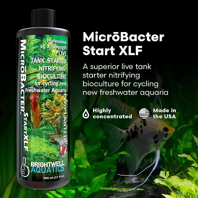 Brightwell Aquatics MicroBacter Start XLF Freshwater Tank Starter, 500 ml