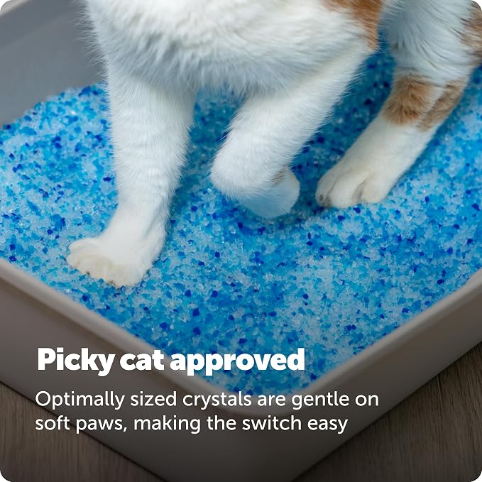 PetSafe ScoopFree 4.3 lb Bags (2 Pack) Premium Crystal Cat Litter - Outperforms Clay Litter - Refill Packs - Reusable Tray Compatible - Fresh Scent