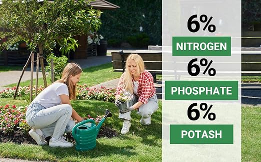 Gardenwise 6-6-6 All-Purpose Professional Plant Food Fertilizer; Ideal for Winter Care & Spring Feeding, Perfect Balanced NPK for Indoor and Outdoor Plants (3 QUARTS)