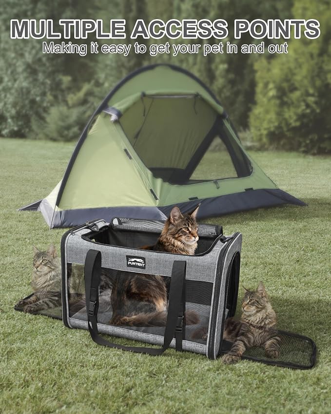 Soft-Sided Large Cat Carrier for 2 Cats, Spacious Foldable Pet Travel Carrier for Large Cats up to 25 Lbs, Double Cat Bag with Shoulder Strap, 20x13x13 Inch, Fits Maine Coon and Small Dogs, Grey
