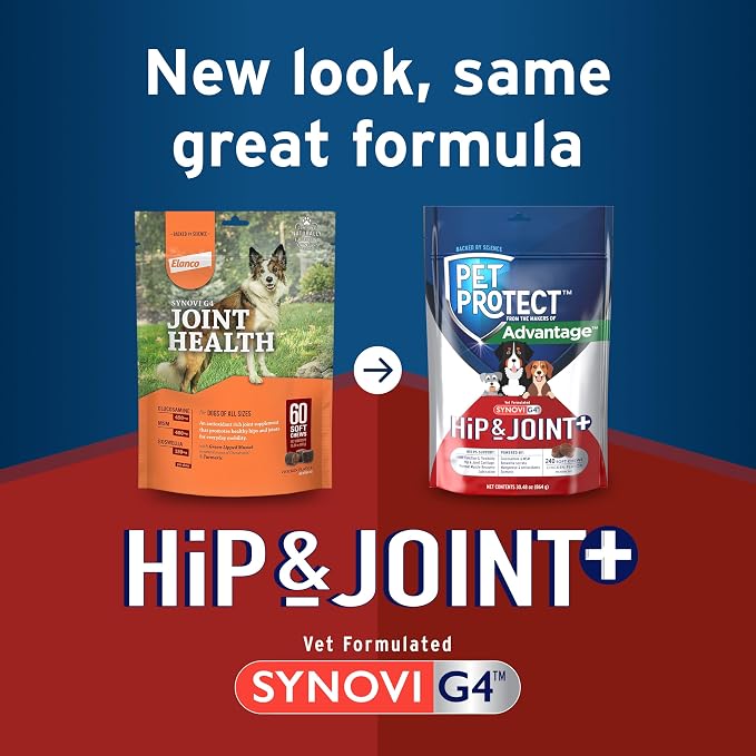 Pet Protect Dog Hip & Joint+ Supplement for Active & Aging Dogs, Vet-Formulated Synovi G4, Dog Glucosamine, Chicken-Flavored Soft Chews (240 Count)