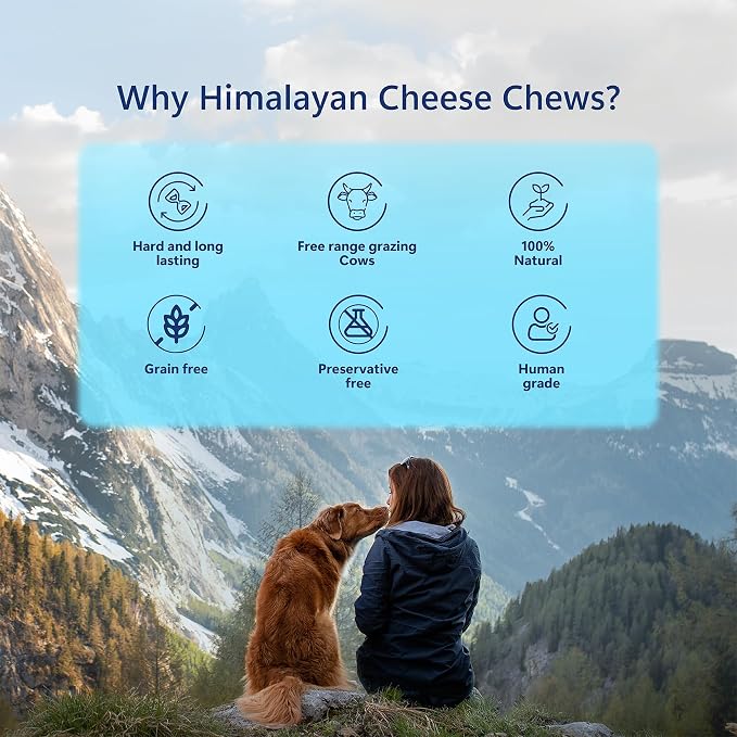 Pawfect Himalayan Cheese Chews for Dogs | 100% Natural Dental Stick | Long Lasting Healthy chew | Rich in Protein & Calcium | Grain-Free| Daily Dental Treat| Pack of 10 for Medium Dogs (750g/26.45oz)