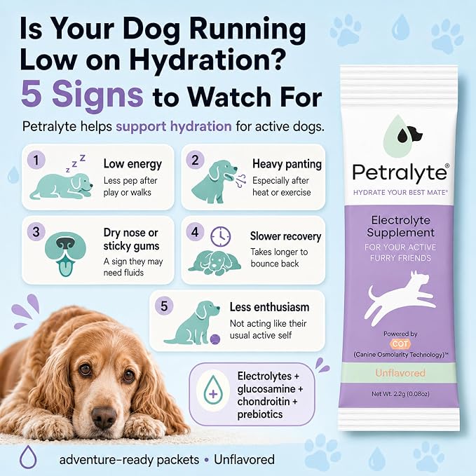 Dog Electrolytes and Joint Supplement | Glucosamine, Chondroitin & MSM for Inflammation and Mobility Support | Electrolytes for Dogs with Prebiotics | Unflavored | 16 Packets