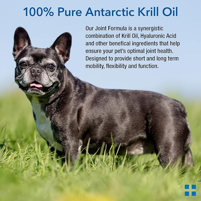 Animal Pharmaceuticals Krillex Joint Formula & Omega 3 Krill Oil for Dogs & Cats - Glucosamine for Dogs - Chondroitin, MSM, & Hyaluronic Acid for Joint Care - Cheese Flavor Chews - 60 ct, 1lb, 450g