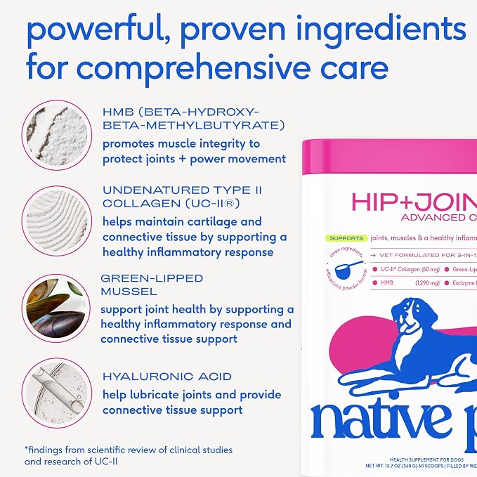 Native Pet Mobility & Radiance Pack: Hip & Joint Supplement for Dogs - Supports Joints, Cartilage, Muscles & Anti-Inflammatory - 30 Scoops & Omega 3 Fish Oil for Dogs Skin, Coat & Joints 8 Oz