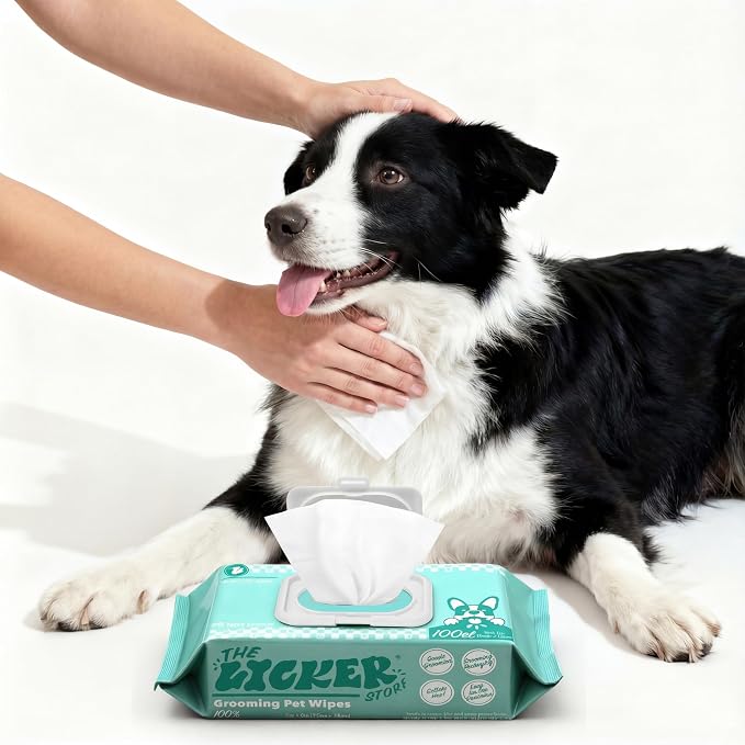 PWP1001A Biodegradable Dog Wipes for Grooming Paws and Body, Hypoallergenic Pet Wipes with Aloe Vera, Chamomile & Coconut Oil, Gentle Cleansing and Deodorizing, 100 Count