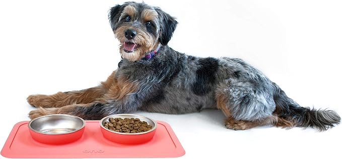 Ono Good Bowl Food & Water Double Feeder - Small to Medium Pets No Spill Non Skid Silicone Mat & Stainless Steel Bowls for Dogs or Cats (Coral)
