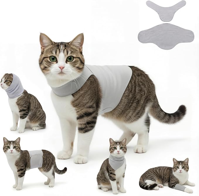DAJIDALI® Dog & Cat Anxiety Vest & Spay Recovery Suit – Silent Adjustable Calming Wrap for Surgery & Thunderstorms – 2-Piece Cone & Recovery Onesie Alternative