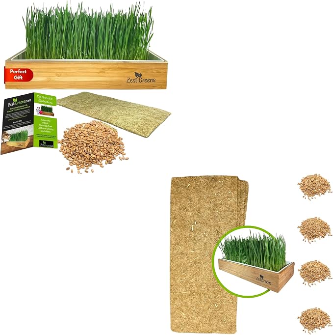 Self-Watering Cat Grass Kit and Cat Grass Refills - 4 Mats and 4 Cat Grass Seed Packets (Cat Grass Refill Kit)