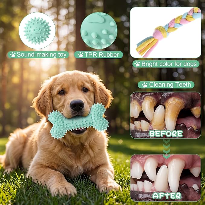 Leitee 16 Pcs Puppy Toys for Teething Dog Chew Toys for Small Dogs Soft Interactive Squeaky Plush Balls Doggy Teeth Tug of War and Rope for Small Dogs Puppy (Cute,Lemon Green,Pink)