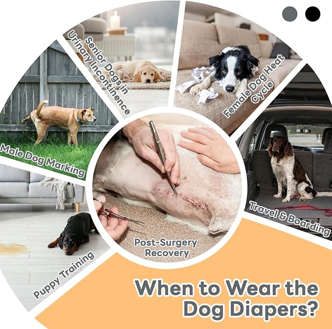 IDOMIK Reusable Female Dog Diapers, Washable Dog Period Diapers with Adjustable Suspenders, Leakproof Escape-Proof Sanitary Panties for Dogs in Heat Cycle, Incontinence, or Senior Dogs,Grey,M