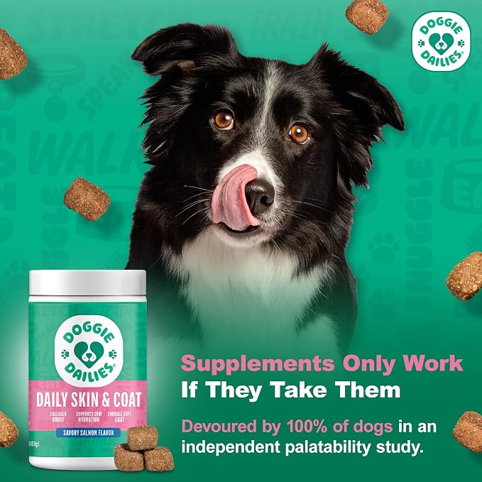 Doggie Dailies Skin & Coat Supplement Support, Salmon Oil for Dogs Skin and Coat with Collagen, Omega 3, Krill Oil, Biotin, & Coconut Oil for Dogs (Salmon) 225 Soft Chews