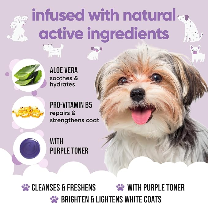 White Dog Shampoo by Buddycare | Brightening and Whitening Shampoo for Dogs | Deep Cleansing, Fresh Scented | with Aloe Vera and Pro Vitamin B5 (169.07oz)