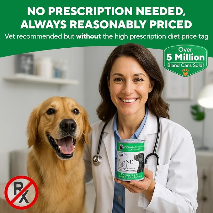 Dave's Pet Food Bland Dog Food for Sensitive Stomachs (Lamb & Rice), Limited Ingredient, Gluten & Wheat Free, Easy to Digest, Canned Wet Meal or Topper, 13.2 oz (12 Pack)