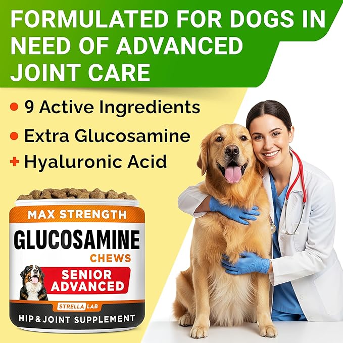 Senior Advanced Glucosamine Chondroitin Joint Supplement for Dogs - Hip & Joint Pain Relief Pills - Large & Small Breed - Hip Joint Chews Canine Joint Health - Chews Older Dogs - Chicken Flavor-120Ct