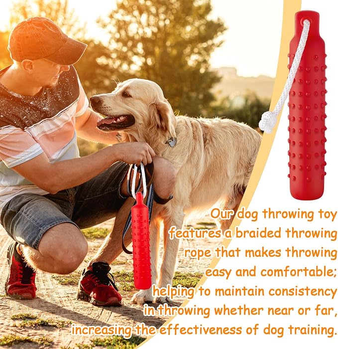 Blueweenly 6 Pcs Dog Bumper Toy for Water Retrieving Plastic Puppy Training Dummy Dog Float Toy Lightweight for Float on The Water Pool Outdoor Training Hunting Fetching (Red,Orange)
